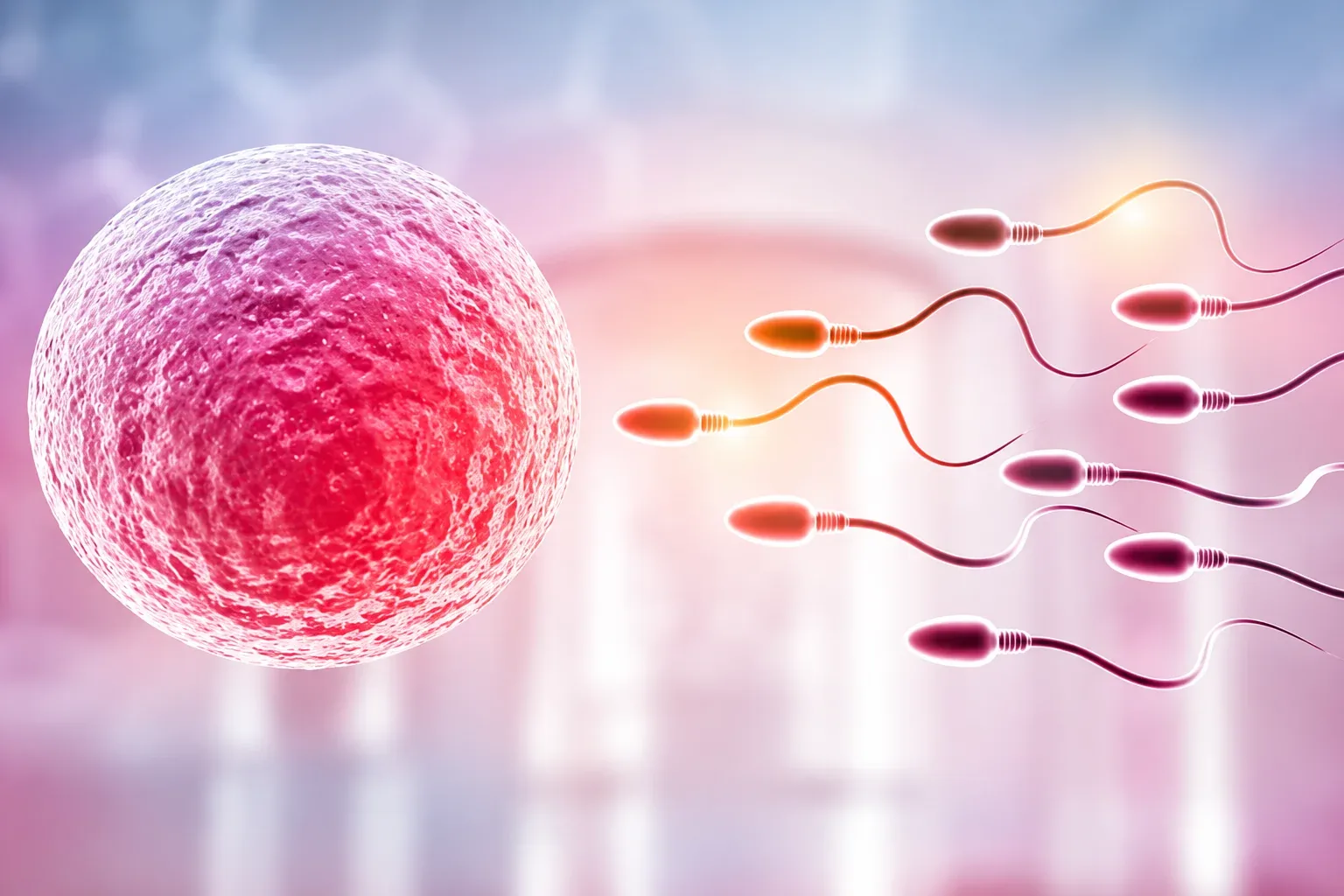 Illustration of the elements that shape the cost of male infertility treatment